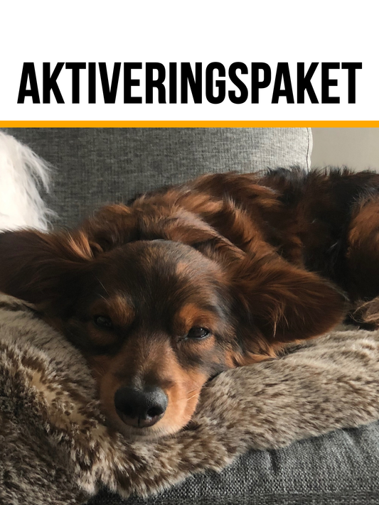 Aktiveringspaket - bra att ha hemma!