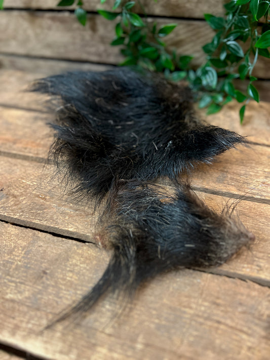 Vildsvinspäls