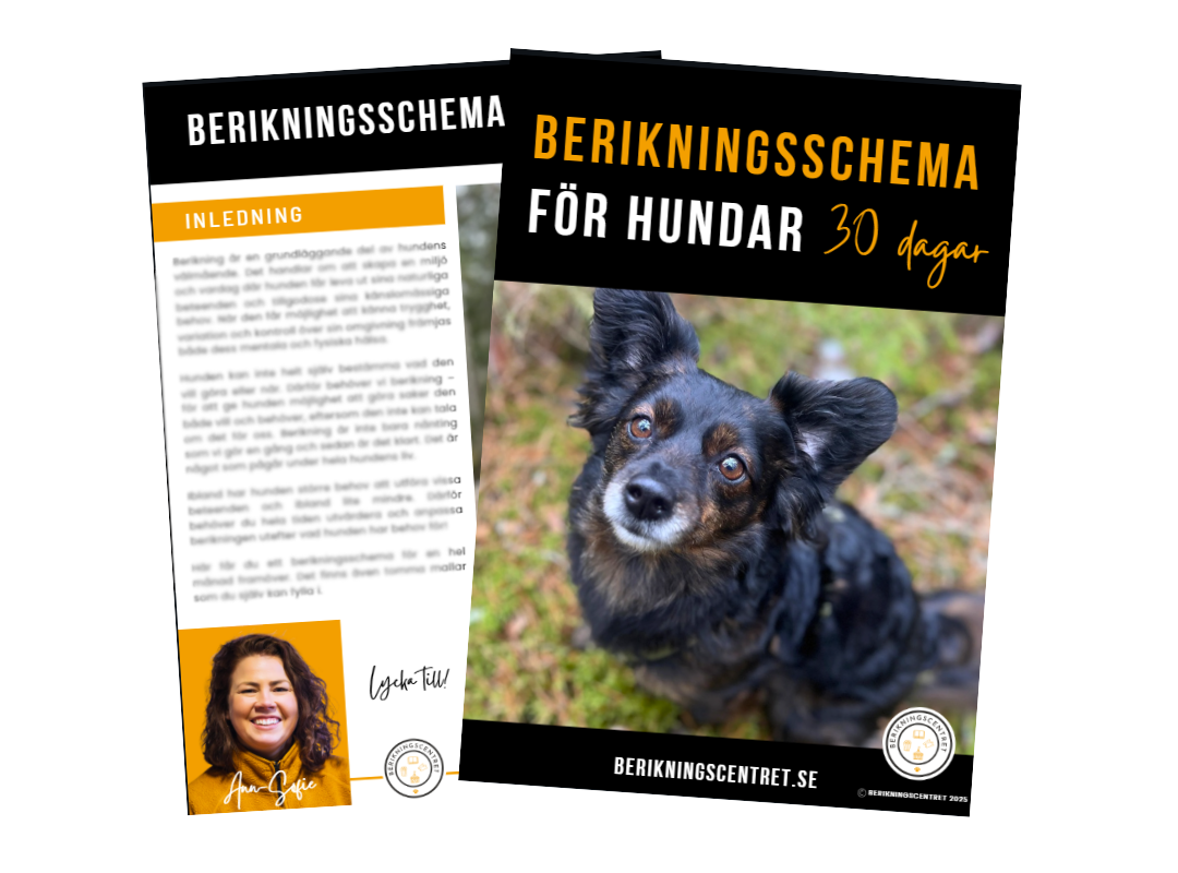 Berikningsschema 30 dagar