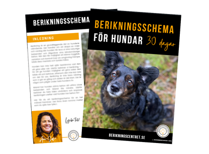 Berikningsschema 30 dagar