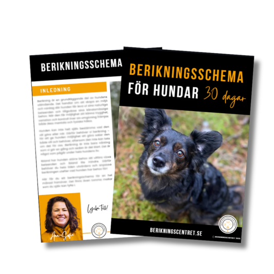 Berikningsschema 30 dagar