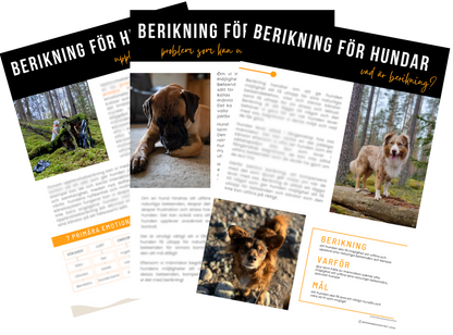 E-bok Berikning för hundar - med bonusar