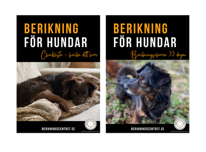 E-bok Berikning för hundar - med bonusar
