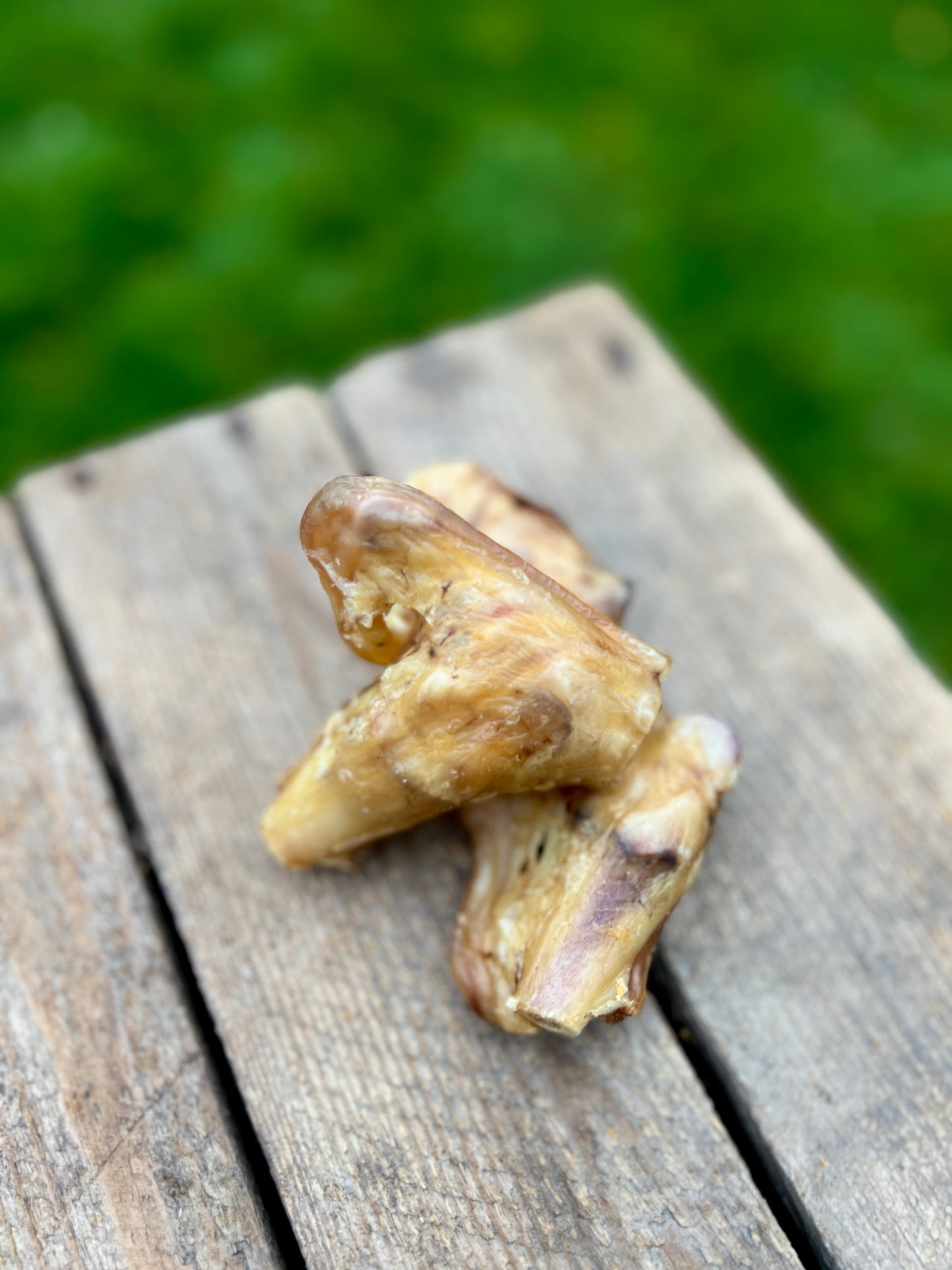 Lamb tendon