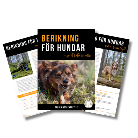 E-bok Berikning för hundar