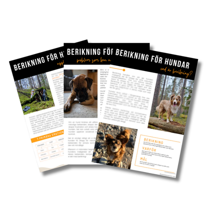 E-bok Berikning för hundar