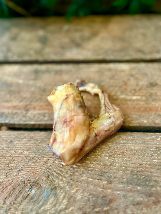 Lamb tendon