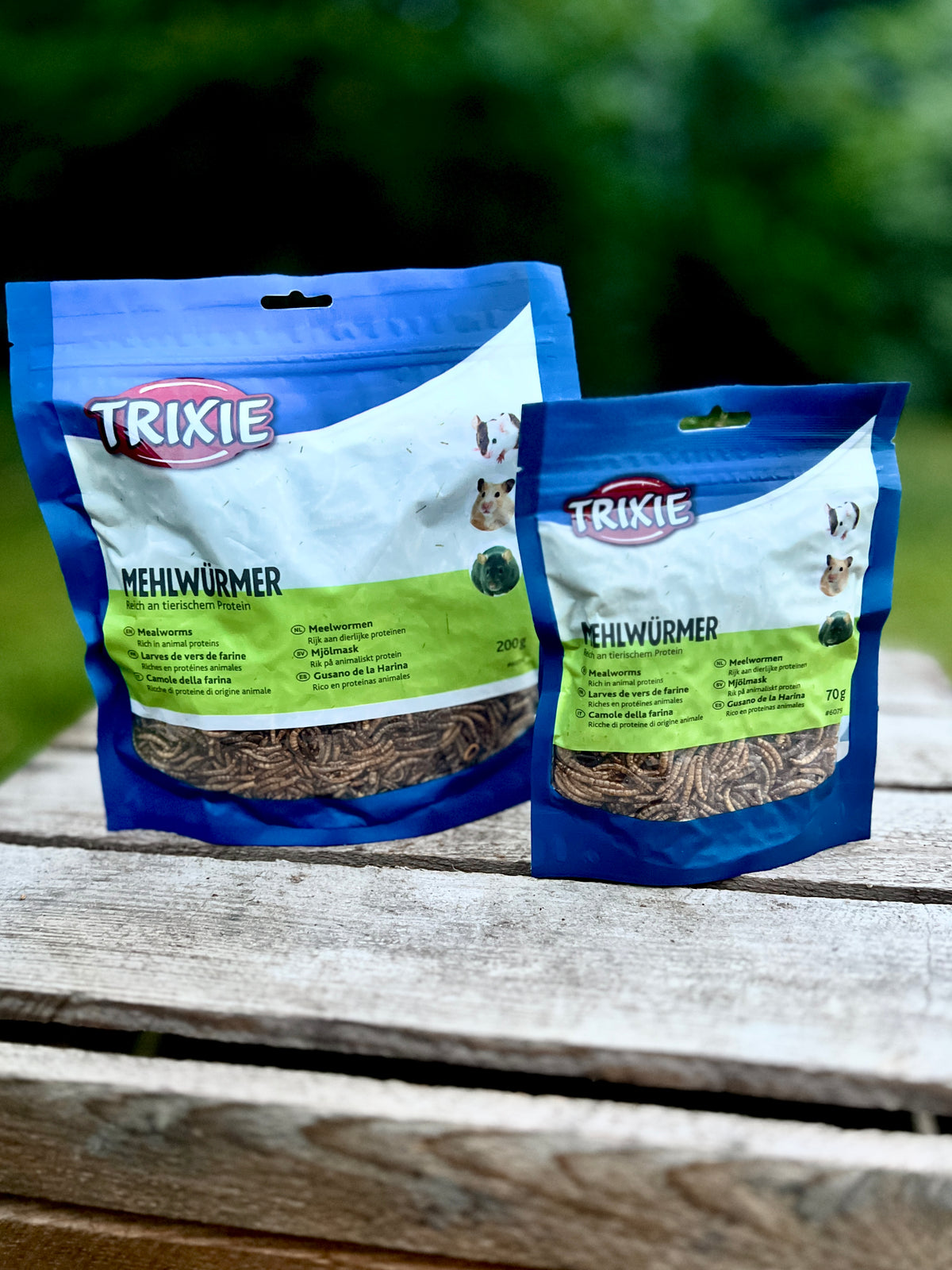 Mealworms 70 g