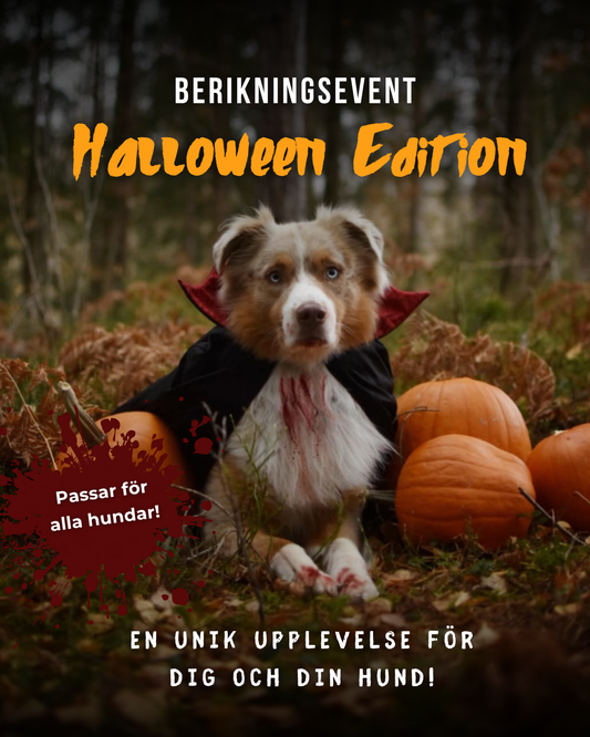 Berikningsevent - Halloween