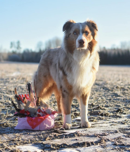 Alla hjärtans dag-paket