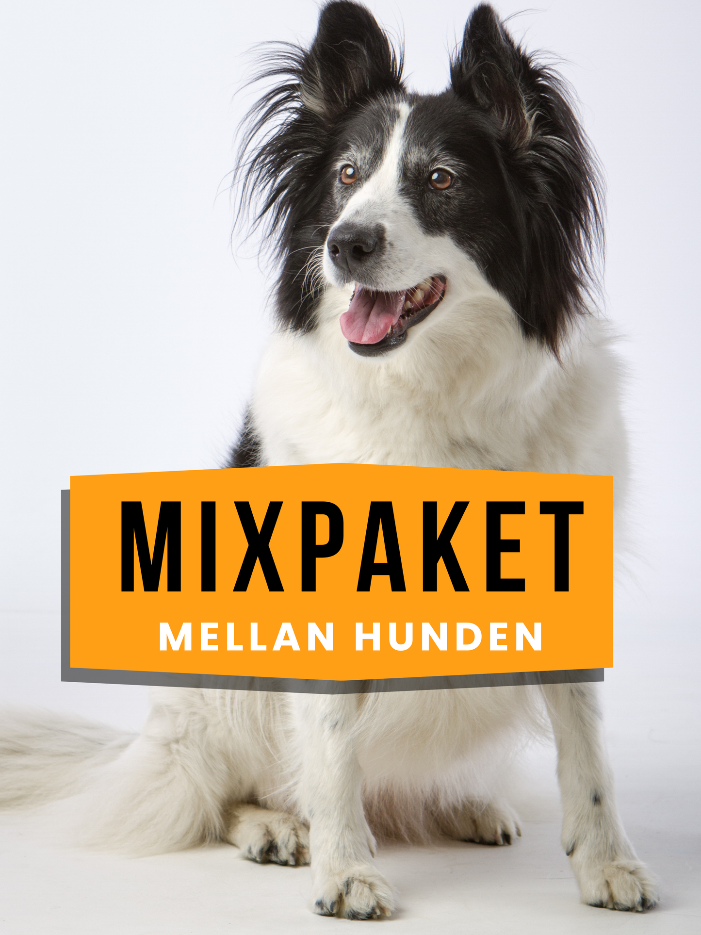 Mixpaket Mellan hunden