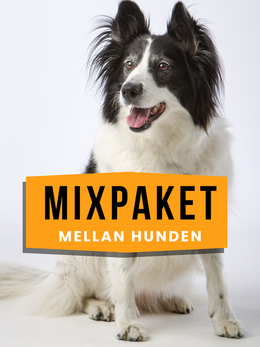 Mixpaket Mellan hunden