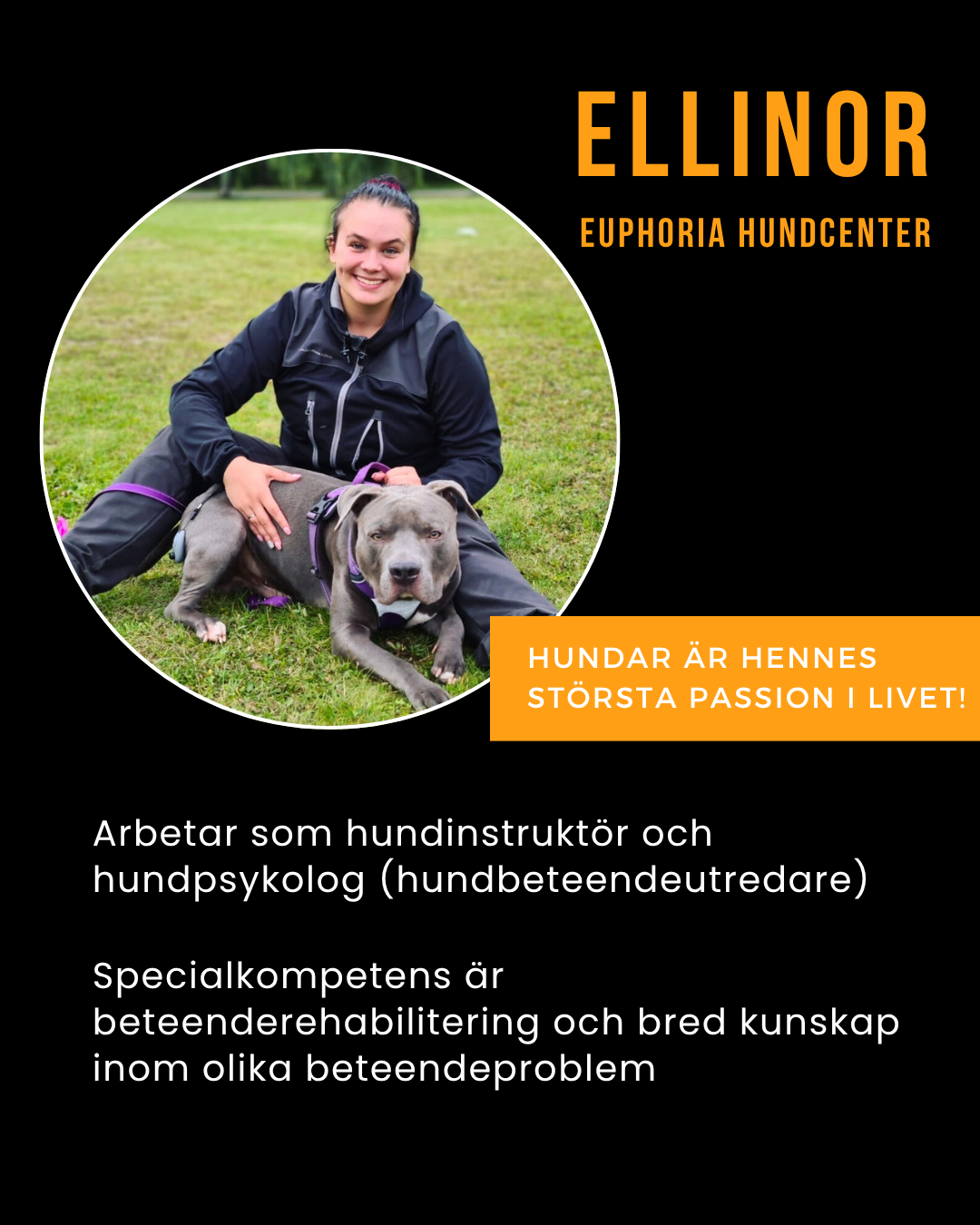 Berikningsevent - Halloween