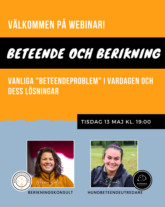 Webinar 13/5