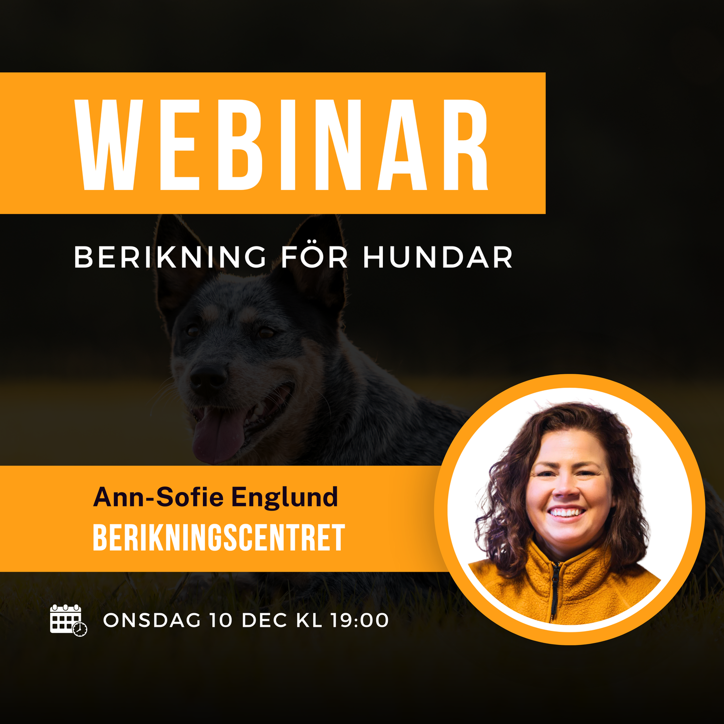 Webinar: Berikning för hundar - inspelning