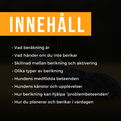 Webinar: Berikning för hundar - inspelning