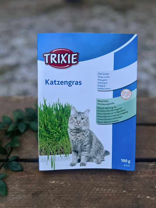 Kattgräs