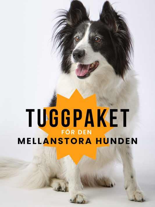 Tuggpaket för mellanstora hunden