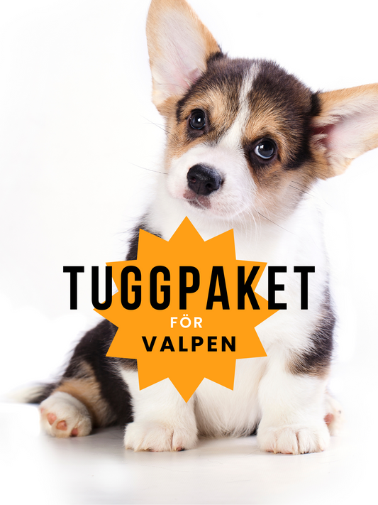Tuggpaket för valp
