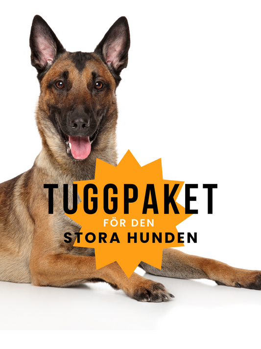 Tuggpaket för stora hunden
